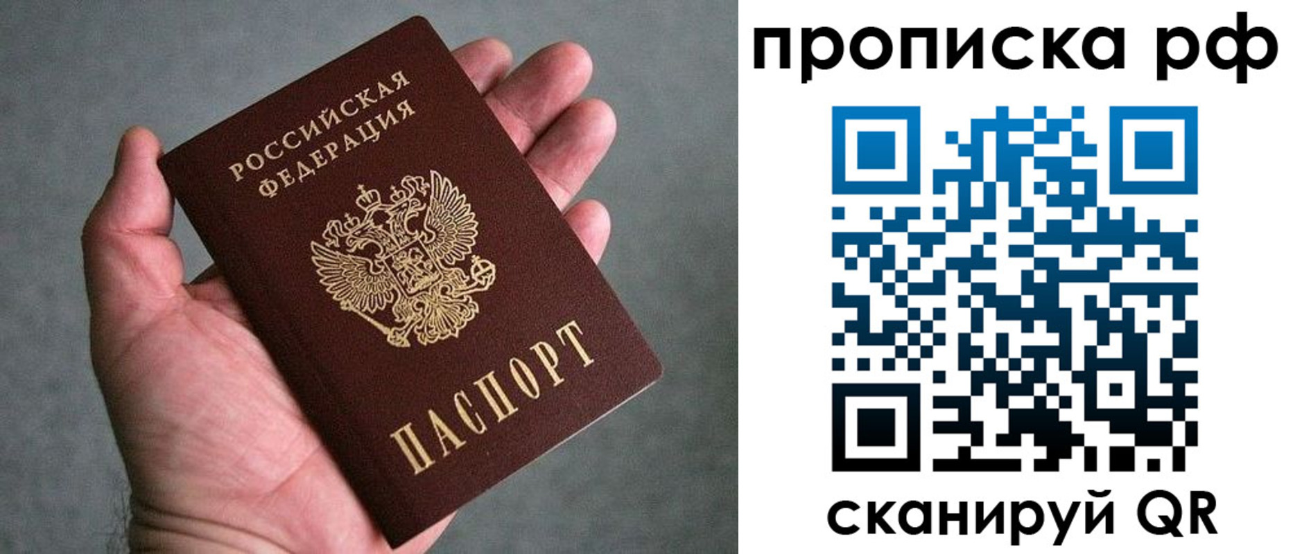 прописка поиск в Дубовке